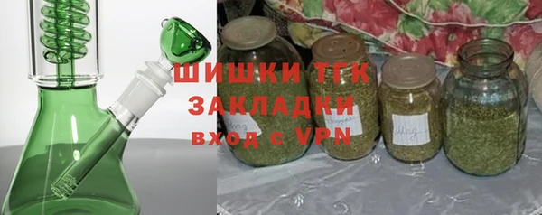 стаф Арсеньев