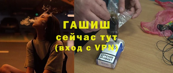 стаф Арсеньев