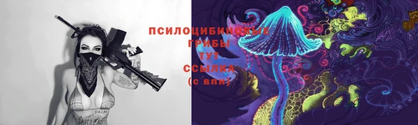 стаф Арсеньев