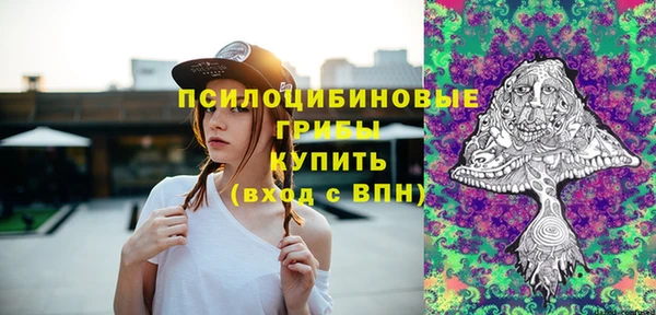 шишки Аркадак