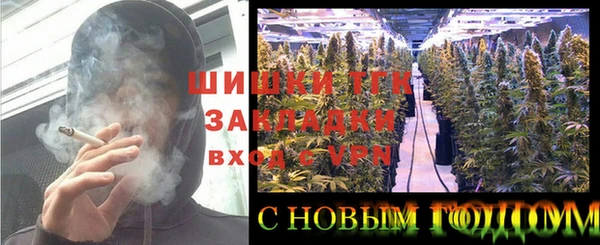 шишки Аркадак
