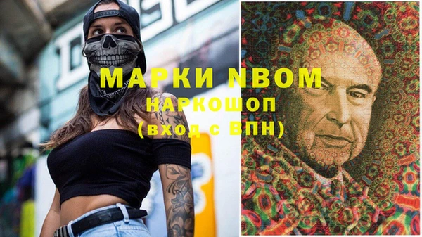 шишки Аркадак