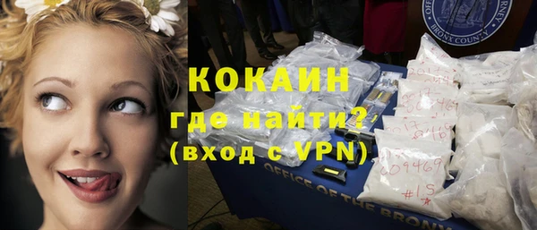шишки Аркадак