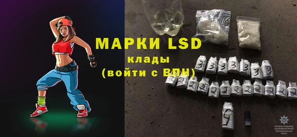 стаф Арсеньев