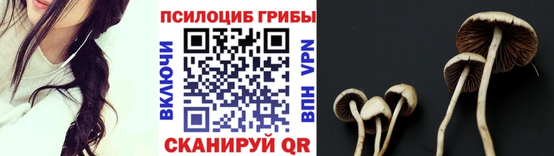 hydra ссылка  Старая Купавна  Галлюциногенные грибы мухоморы 